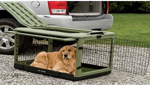 Dog Crate-1.jpg